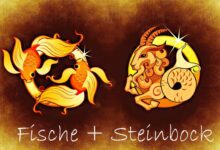 Fische + Steinbock