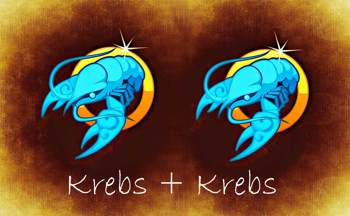 Entdecke die Kompatibilität von Krebs & Krebs in der Liebe