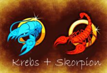 Krebs und Skorpion Partnerhoroskop