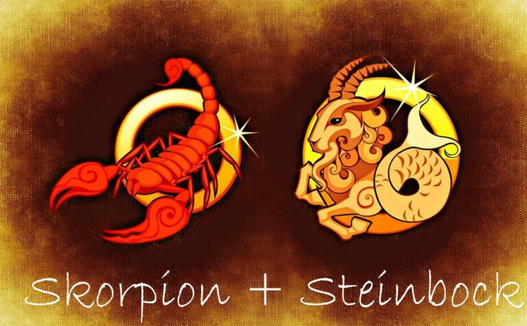 Passen Skorpion und Steinbock zusammen?