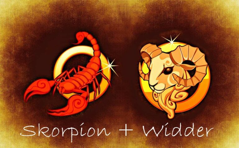 Skorpion + Widder